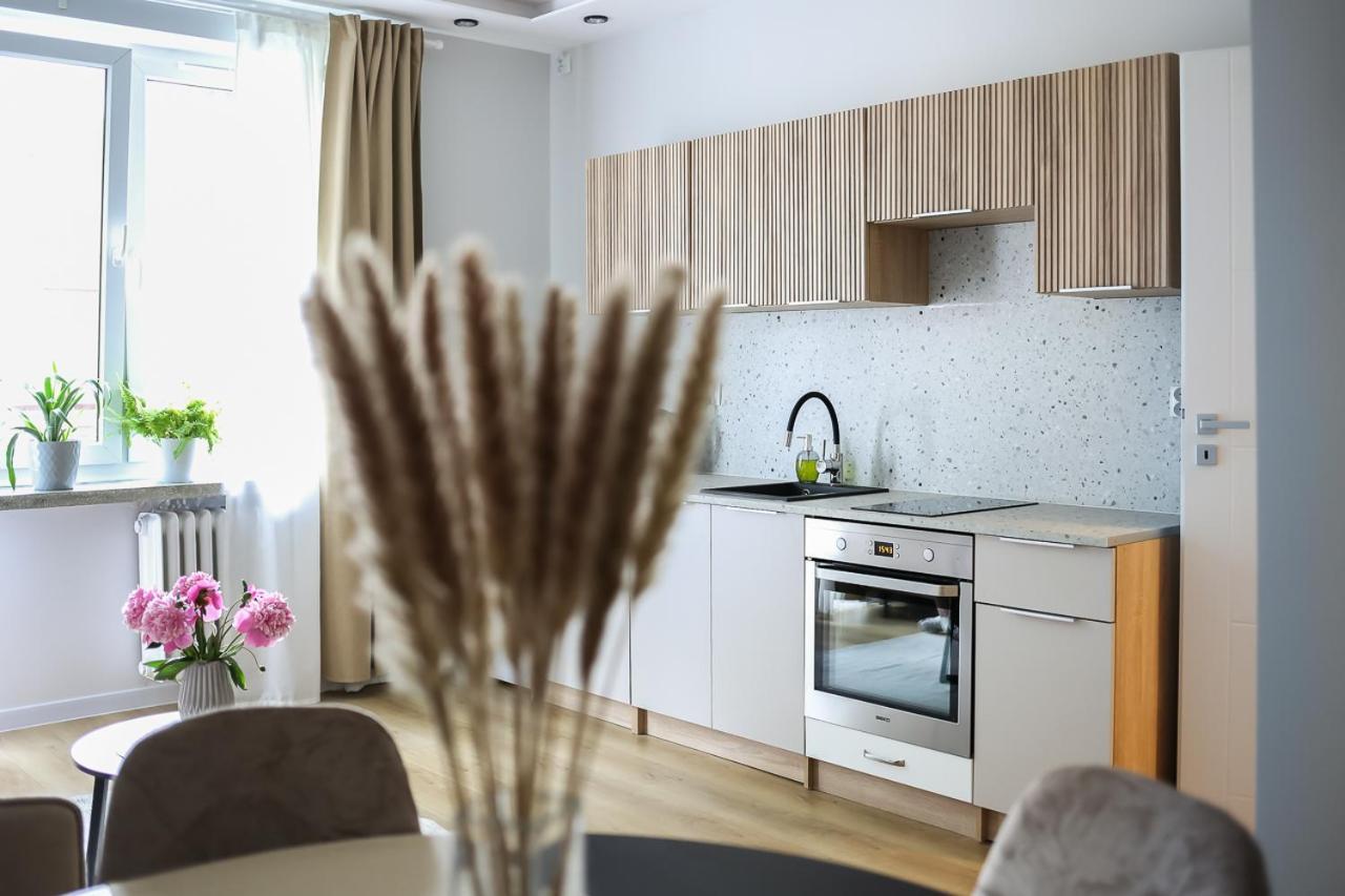 Zamojski Apartment *